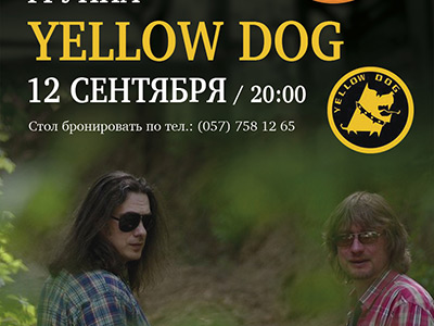  Yellow Dog